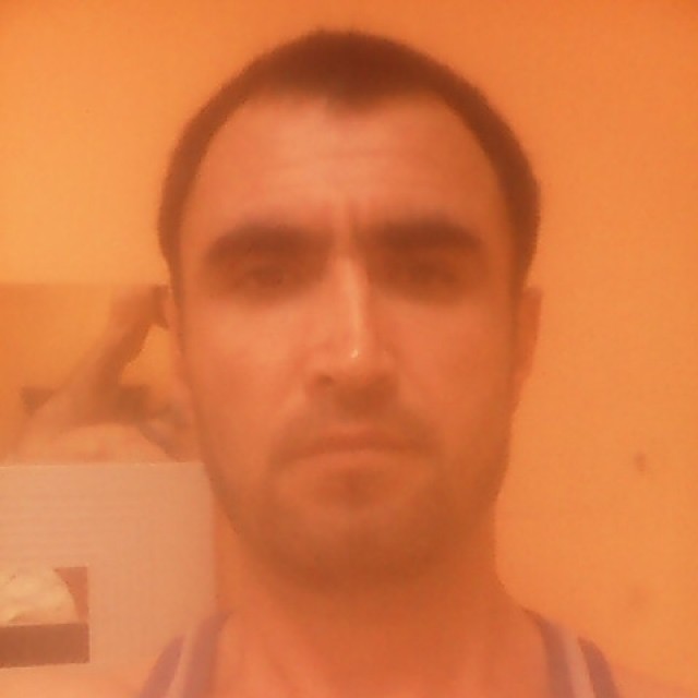 Cani