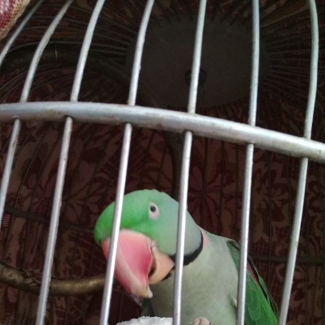 Илья