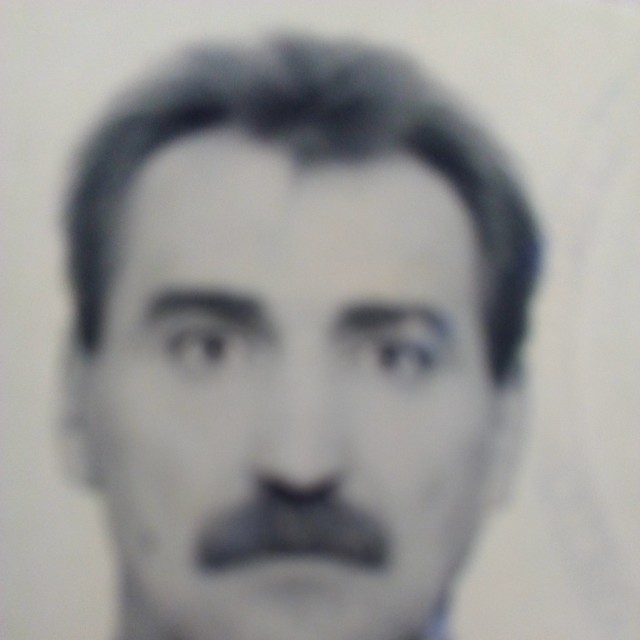 Володя Гришин