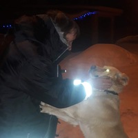 Михаил Бакалов
