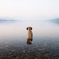 Виталий Мухаметов