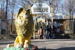 Встречи с девушками в Пензе