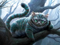 Кот